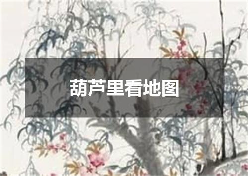 葫芦里看地图