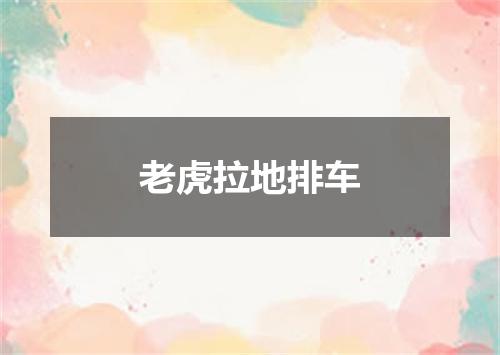 老虎拉地排车