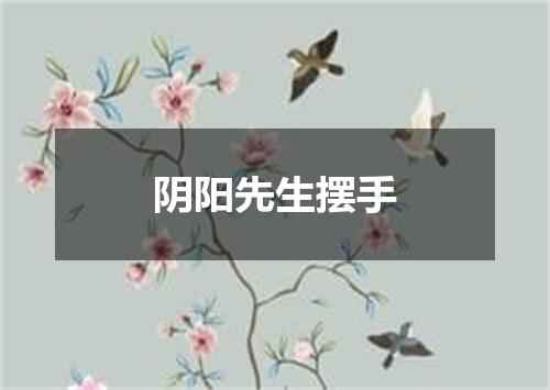 阴阳先生摆手