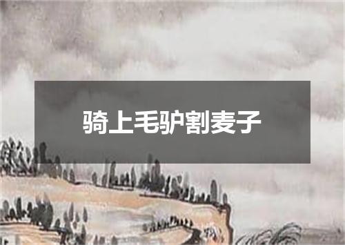 骑上毛驴割麦子