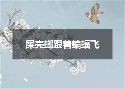 屎壳螂跟着蝙蝠飞
