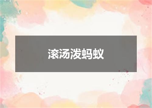 滚汤泼蚂蚁