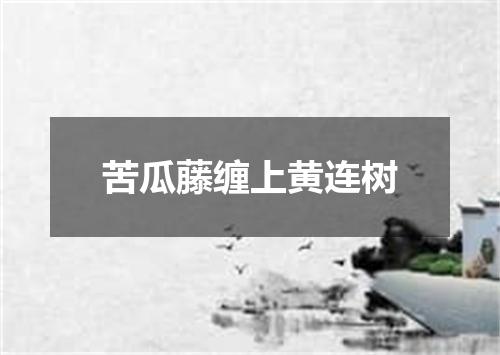 苦瓜藤缠上黄连树