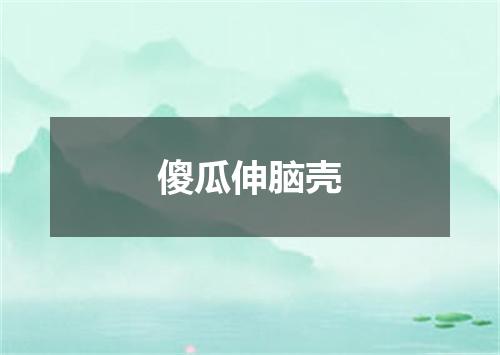 傻瓜伸脑壳