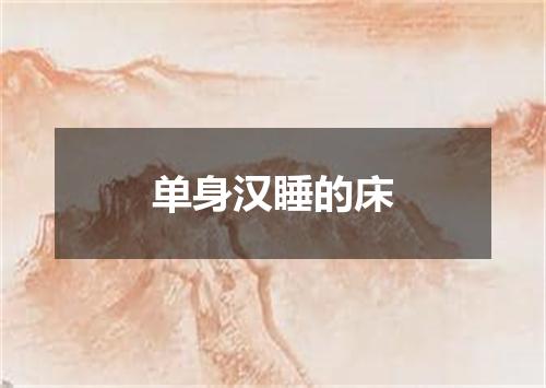 单身汉睡的床