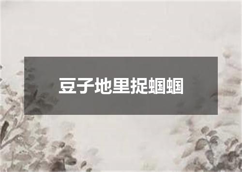 豆子地里捉蝈蝈