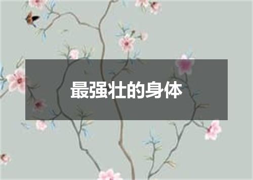 最强壮的身体