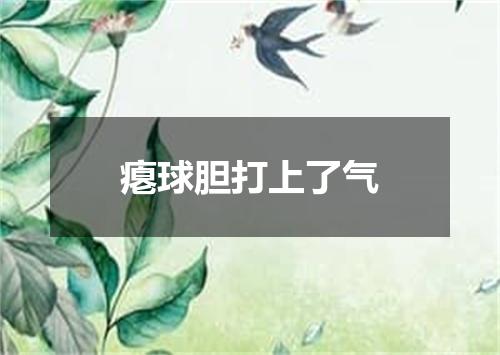 瘪球胆打上了气