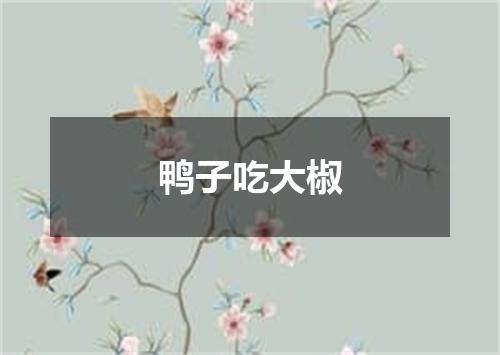 鸭子吃大椒