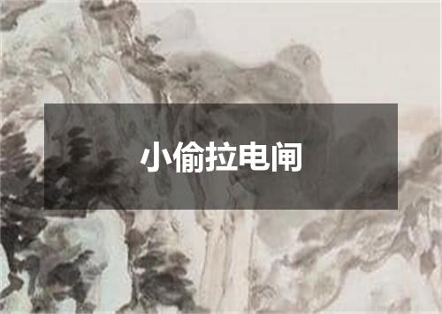 小偷拉电闸
