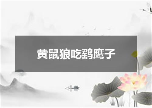黄鼠狼吃鹞鹰子