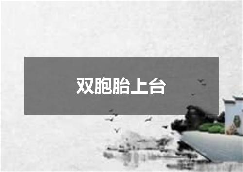 双胞胎上台