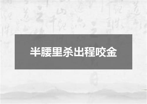 半腰里杀出程咬金