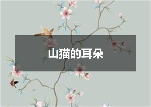 山猫的耳朵