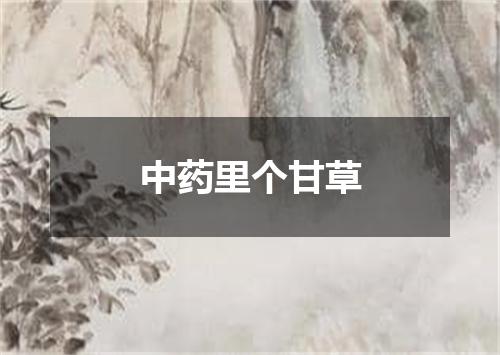 中药里个甘草