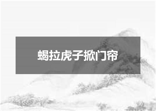 蝎拉虎子掀门帘