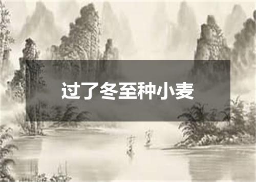 过了冬至种小麦