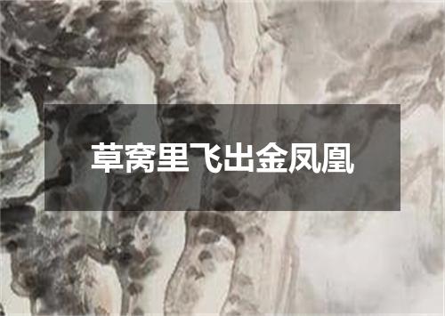 草窝里飞出金凤凰