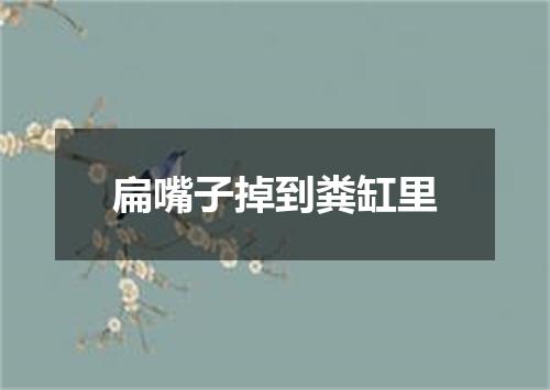 扁嘴子掉到粪缸里