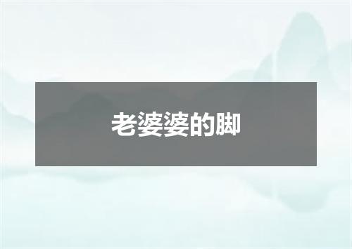 老婆婆的脚