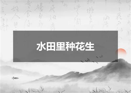 水田里种花生