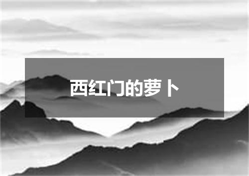 西红门的萝卜