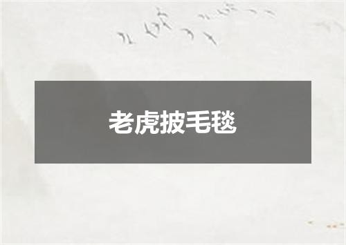 老虎披毛毯