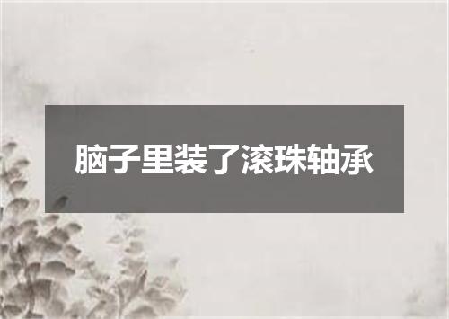 脑子里装了滚珠轴承