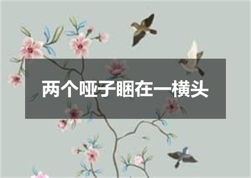 两个哑子睏在一横头