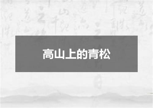 高山上的青松