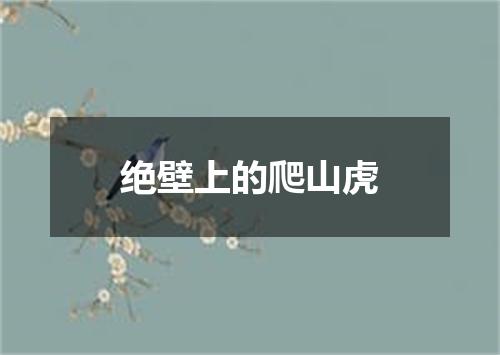 绝壁上的爬山虎