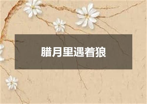 腊月里遇着狼