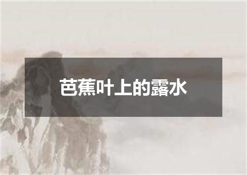 芭蕉叶上的露水