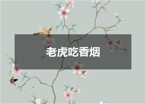 老虎吃香烟