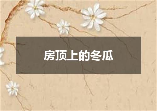 房顶上的冬瓜
