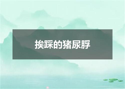 挨踩的猪尿脬