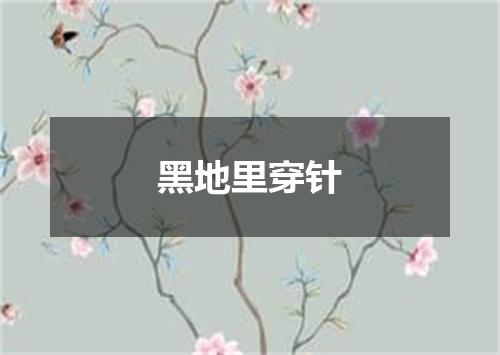 黑地里穿针