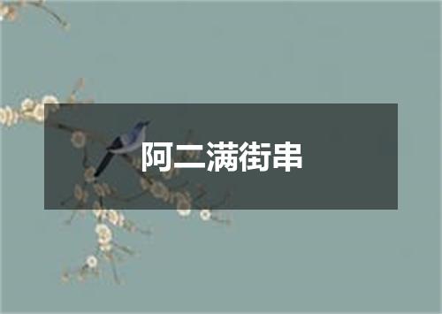 阿二满街串