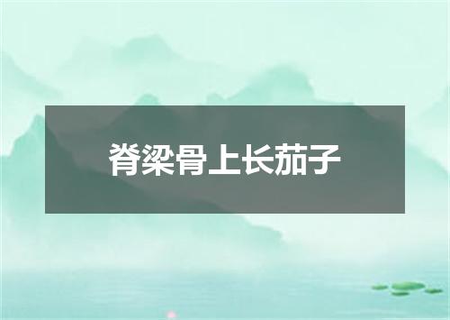 脊梁骨上长茄子
