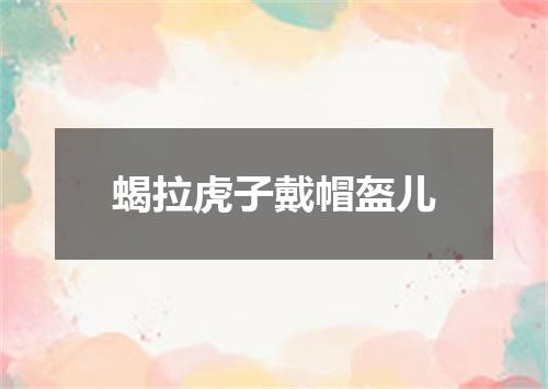 蝎拉虎子戴帽盔儿