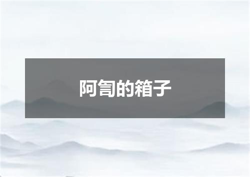 阿訇的箱子