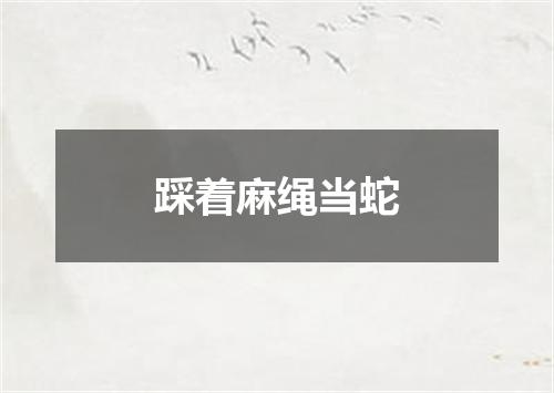 踩着麻绳当蛇