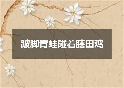 跛脚青蛙碰着瞎田鸡