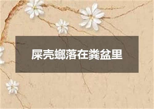 屎壳螂落在粪盆里