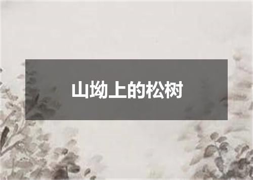 山坳上的松树