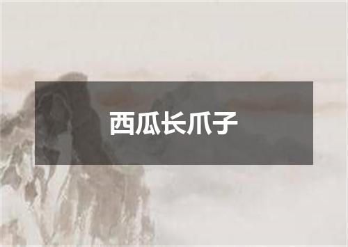 西瓜长爪子