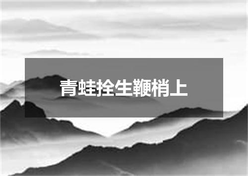 青蛙拴生鞭梢上