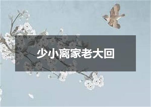 少小离家老大回