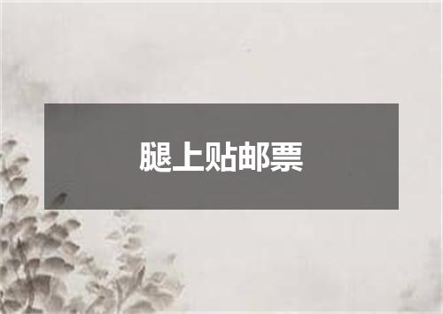 腿上贴邮票