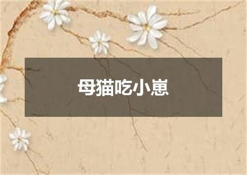 母猫吃小崽